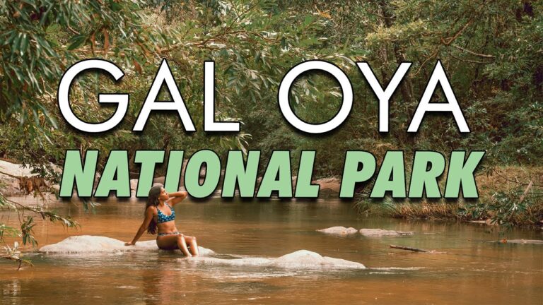 A part of Sri Lanka you’ve never seen before. Camping at the Gal Oya National Park!