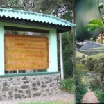 Galway’s Land National Park – montane ecosystem in Nuwara Eliya By Arundathie Abeysinghe