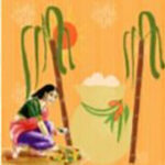 Thai Pongal