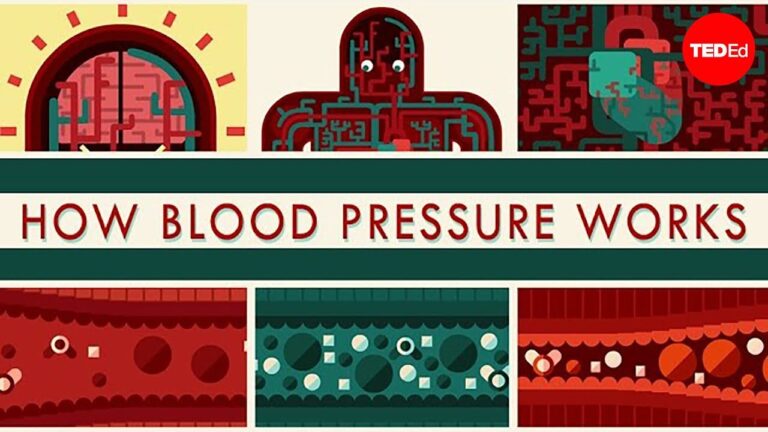 Excellent presentation on Blood Pressure