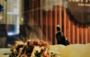 KOTTOO- A NEW TASTE SENSATION HAS HIT SYDNEY CITY! – The All New Sri  Lankan Street Food by Dish in Sydney CBD – by eLanka