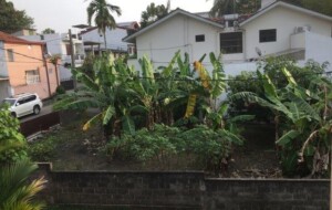 LAND FOR SALE -Colombo (Rajagiriya)