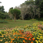 Henarathgoda Botanical Gardens – evolution of Sri Lankan economy By Arundathie Abeysinghe