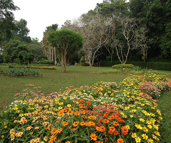 Henarathgoda Botanical Gardens – evolution of Sri Lankan economy By Arundathie Abeysinghe