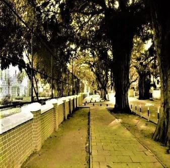 Royal College Colombo - REPAYING THE DEBT WE OWED – by Dr. Gnana Sankaralingam (58 Group) 