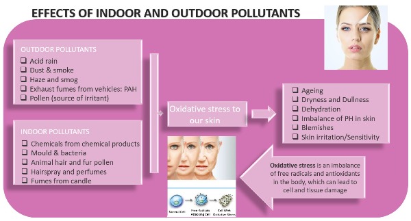 Skin Defence Against Indoor and Outdoor Pollutants
