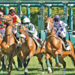 Turf Club