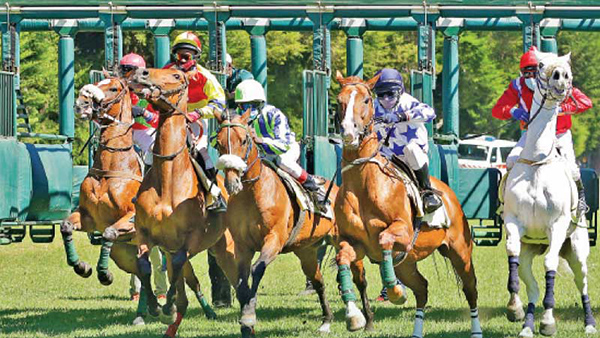 Horse Racing Festival in Nuwara Eliya begins on March 20