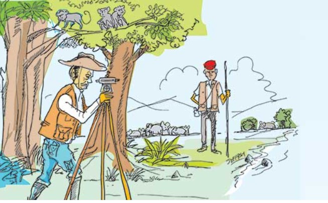 Life and times of a Surveyor