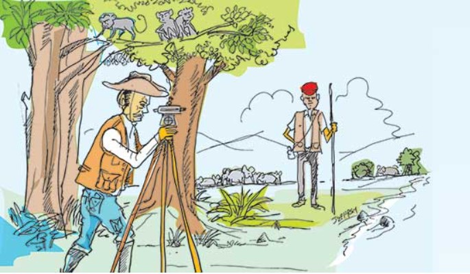 Life and times of a Surveyor