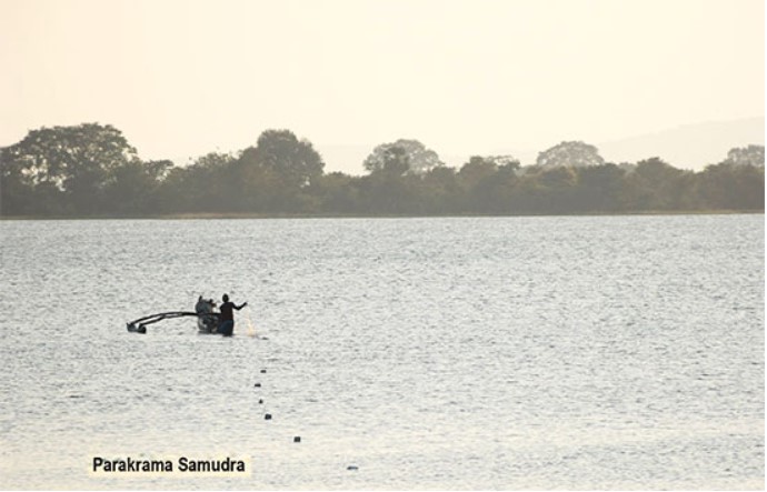 Polonnaruwa: Rise and fall-By Uditha Devapriya