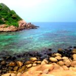 Pigeon Island - unique natural marvel By Arundathie Abeysinghe