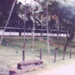 Shakespeare in a takarang shed