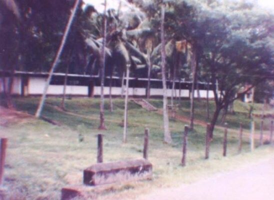 Shakespeare in a takarang shed