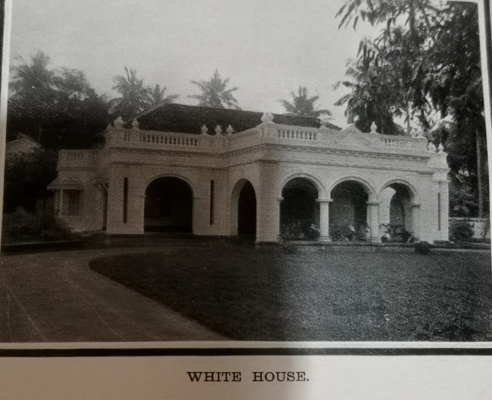 THE HOMES IN WARD PLACE IN ITS EARLY DAYS, WHEN IT WAS KNOWN AS THE HARLEY STREET OF COLOMBO