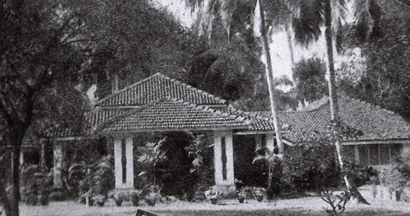 THE HOMES IN WARD PLACE IN ITS EARLY DAYS, WHEN IT WAS KNOWN AS THE HARLEY STREET OF COLOMBO