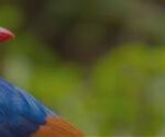 lectures_banner