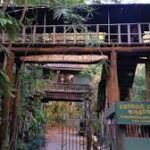 Dunumadalawa Forest Reserve - a habitat island in Kandy City By Arundathie Abeysinghe