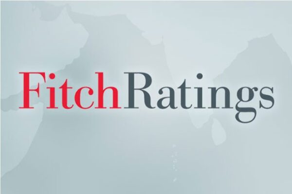Fitch-Report