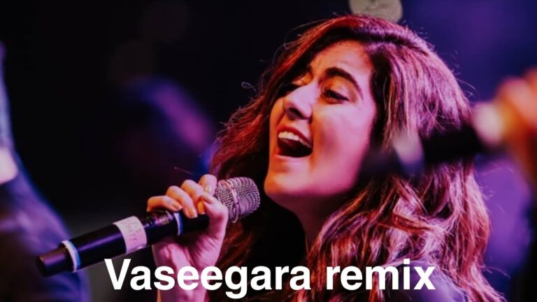 Vaseegara | Jonita Gandhi | Devan Remix