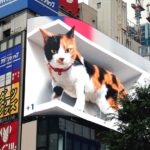 3D cat