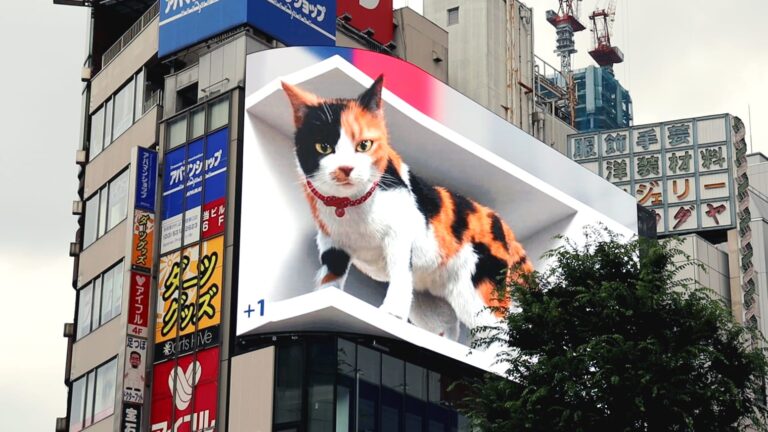 A giant 3D cat has taken over one of Tokyo’s biggest billboards-by Megan C. Hills