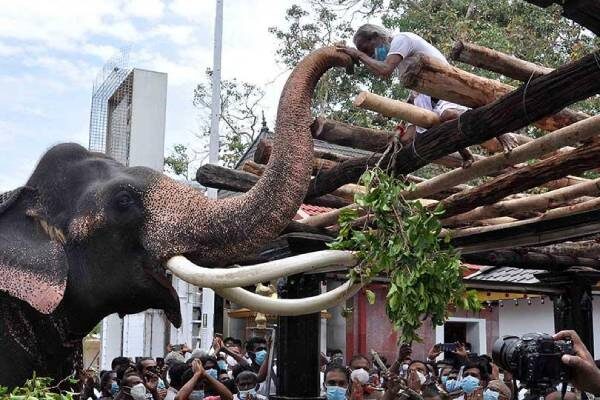 Athupandalama ritual at Kataragama Temple