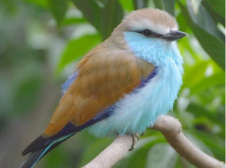“WONDERS OF NATURE” – BY Des Kelly