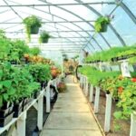Floriculture export