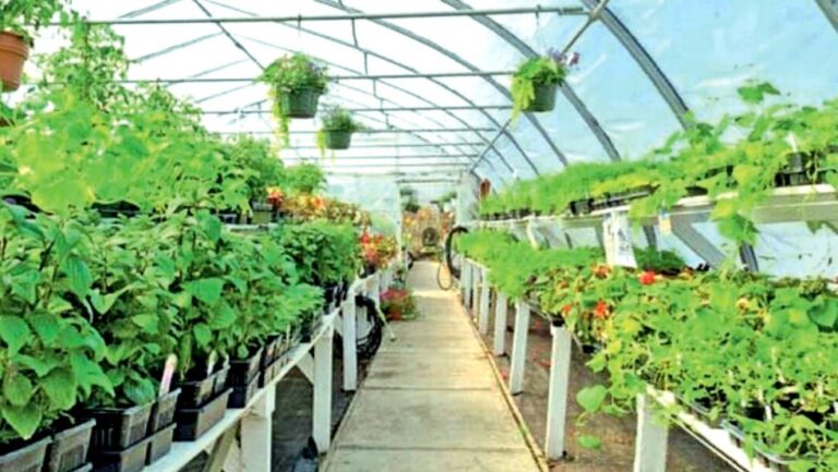 Floriculture export revenue could double with proper assistance-by Indunil Hewage