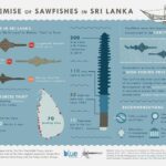 Sri Lankan Marine Research and Conservation Organisation 1