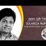 Sulaga nuba wage - සුළඟ නුඹ වගේ - karunarathna divulgane