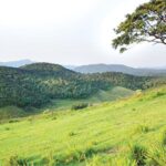 THE CENTRAL HIGHLANDS