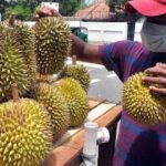 Time to taste seasonal fruits 1