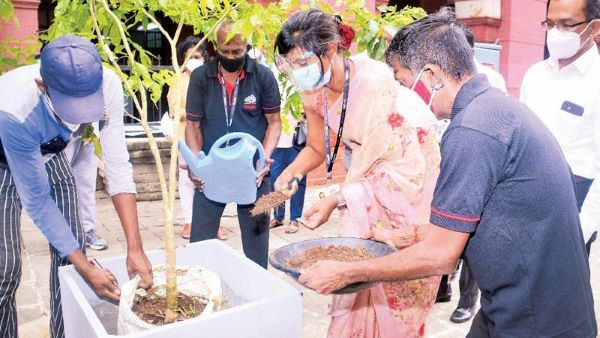 Cargills Pledges to Plant Trees in Colombo