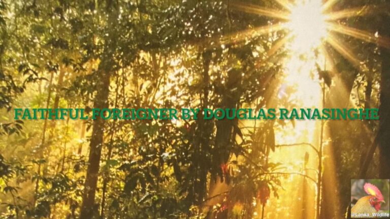 Podcast: Faithful Foreigner, Saving Sinharaja; Douglas Ranasinghe