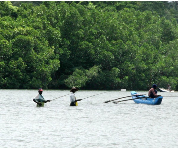 The Koggala Lake