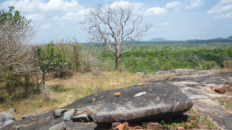 Veheradiulana: paradise for treasure hunters-by Mahil Wijesinghe