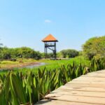 Beddagana Wetland Park - verdant mosaic of wetlands By Arundathie Abeysinghe