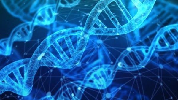 The next generation of computing: DNA Computing By Aditya Abeysinghe