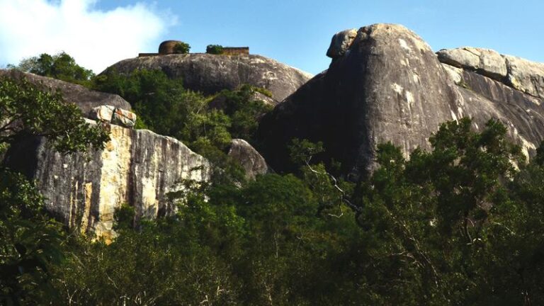 Kudumbigala forest hermitage, a solitary landmark of Panam Pattuwa-BY MAHIL WIJESINGHE