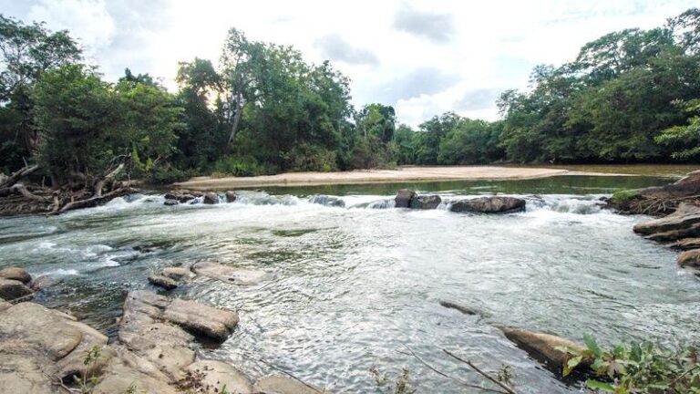 Through the wilds of Kumana- BY MAHIL WIJESINGHE