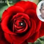 La Vie En Rose