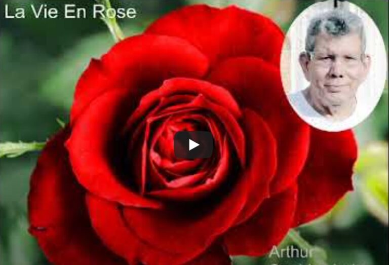 La Vie En Rose – by Arthur Speldewinde