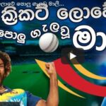 Tribute song to Lasith Malinga - retirement in cricket - ක්‍රිකට් ලොවේ පොලු ගැලවූ මාලී
