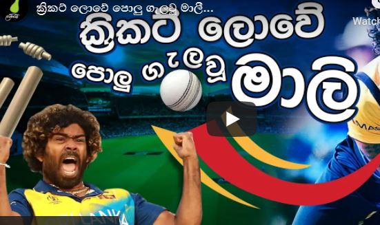 Tribute song to Lasith Malinga – retirement in cricket – ක්‍රිකට් ලොවේ පොලු ගැලවූ මාලී