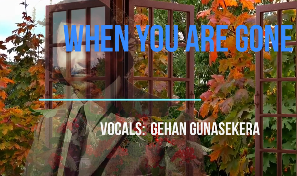 When You Are Gone – by Gehan Gunasekera