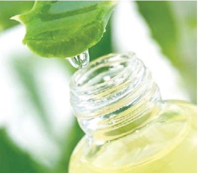 Cabinet backs mega $ 783 m aloe vera based herbal products export venture