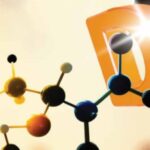 Abu Dhabi Annual International Conference on Vitamin D Deficiency and Human Health5