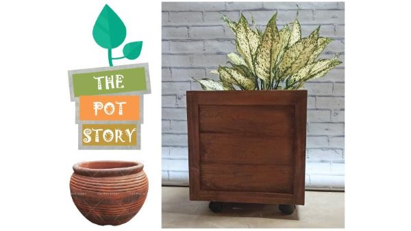 The Pot Story to boost garden decor